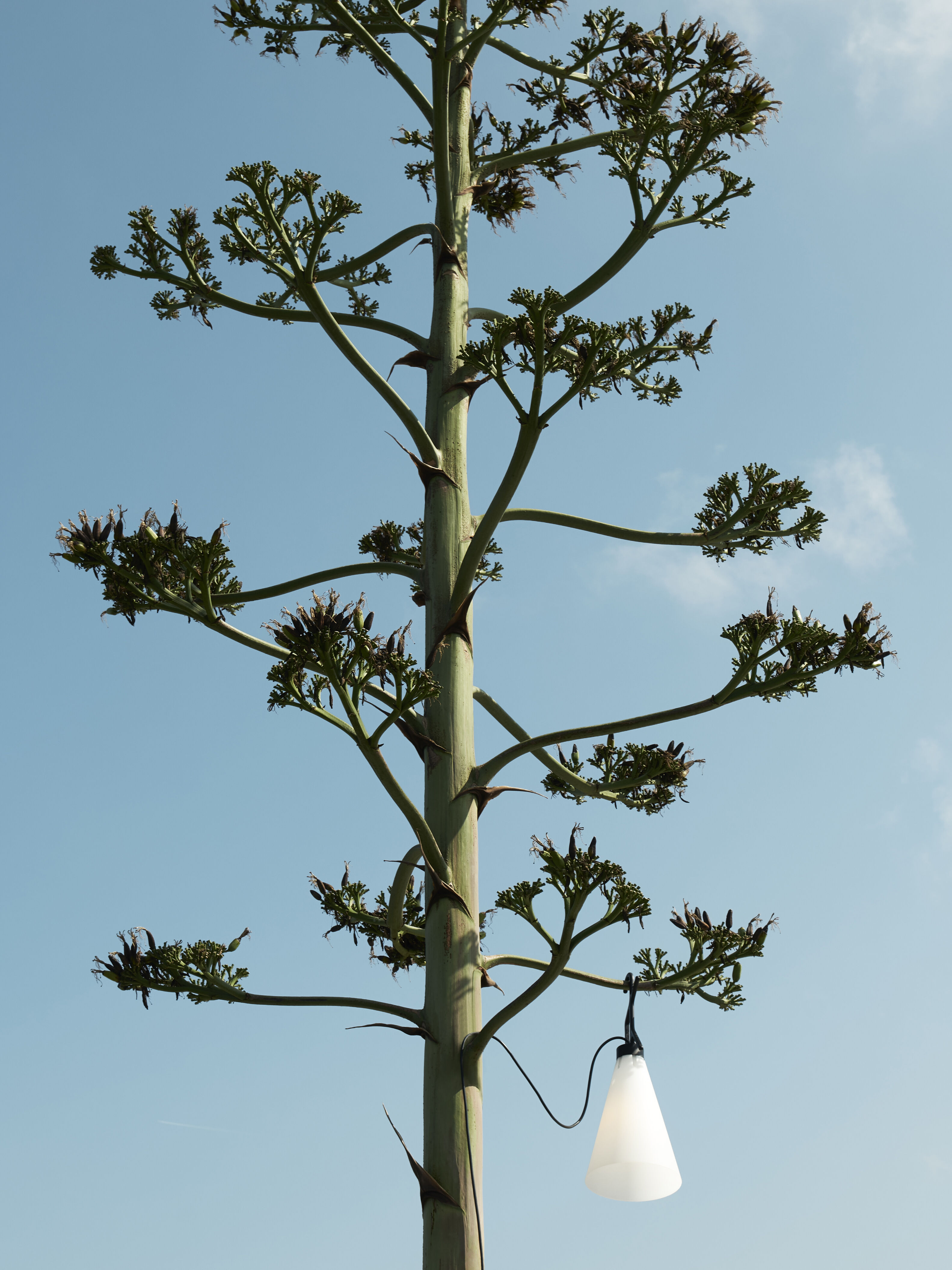 Mayday Outdoor-Flos-outdoor lighting-TommasoSartori-