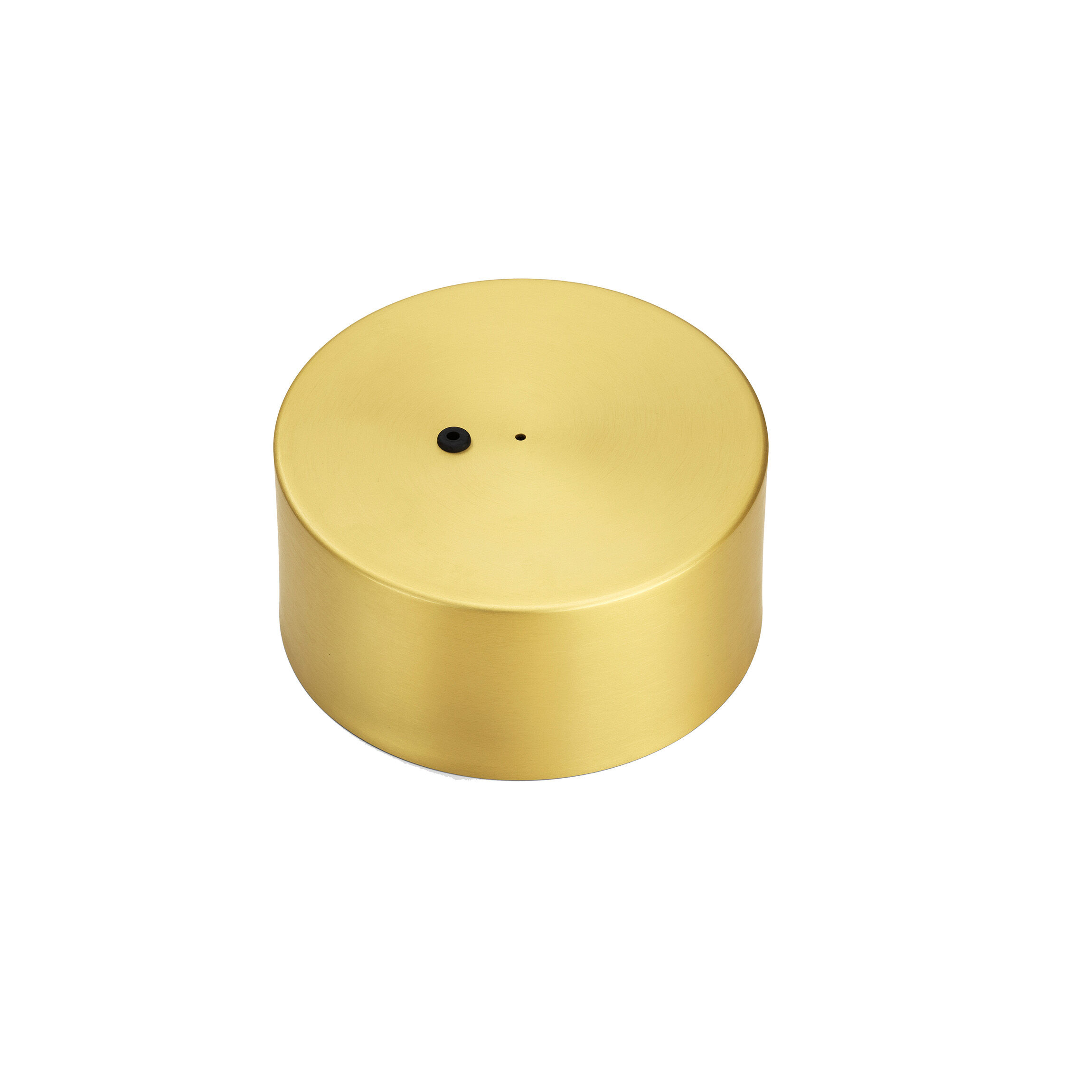 Coordinates S Assembly Big Rose Anodized Champagne