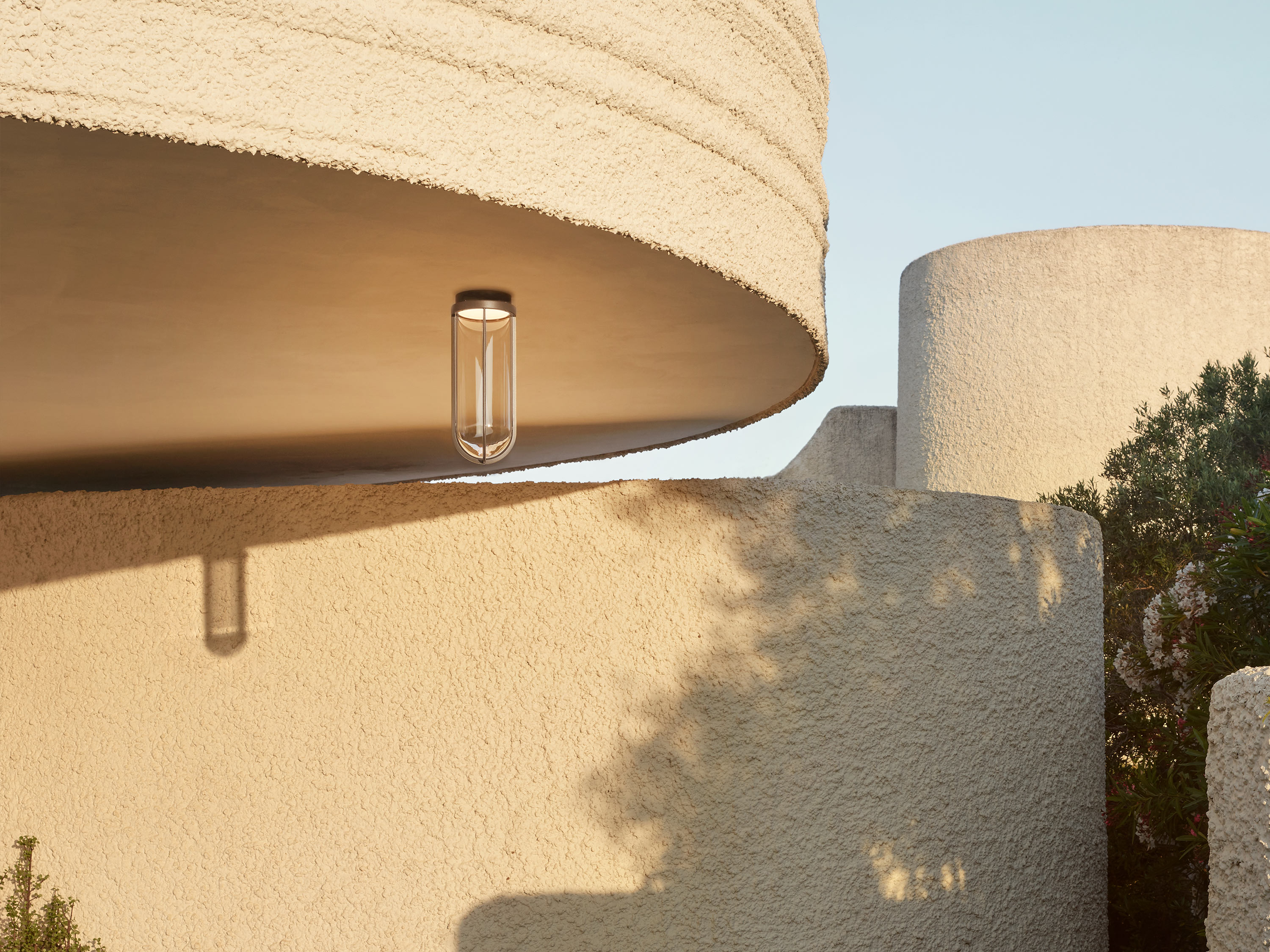 In Vitro Ceiling, , lifeshot